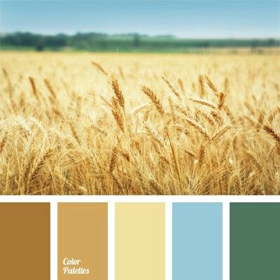 Wheat and turquoise color scheme /pallet Palouse Washington, Flat Bedroom, In Color Balance, Color Palette Ideas, Color Celeste, Palette Ideas, Wheat Field, Washington Usa, Wheat Fields