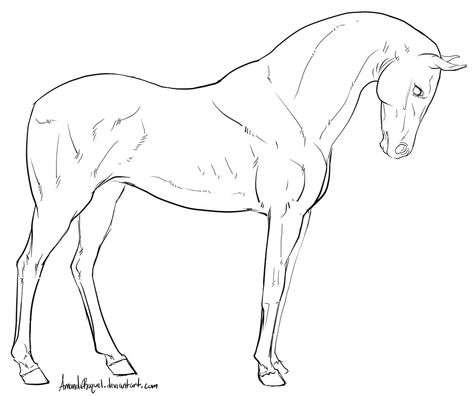 Horse coloring pages Horse Oc Base, Crteži Olovkom, Equine Art Pencil Drawings, Horse Lineart, Horse Draw, Horse Sketches, Horse Drawing Tutorial, Drawing Stand, Horse Outline