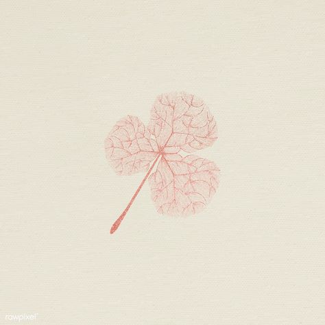 Pink detailed three leaf clover vector | premium image by rawpixel.com / Adj / HwangMangjoo / nam Leaf Veins, Feather Vector, Notes Aesthetic, Doodle Background, Three Leaf Clover, Flower Illustrations, Web Design Resources, Character Sheets, Pink Details