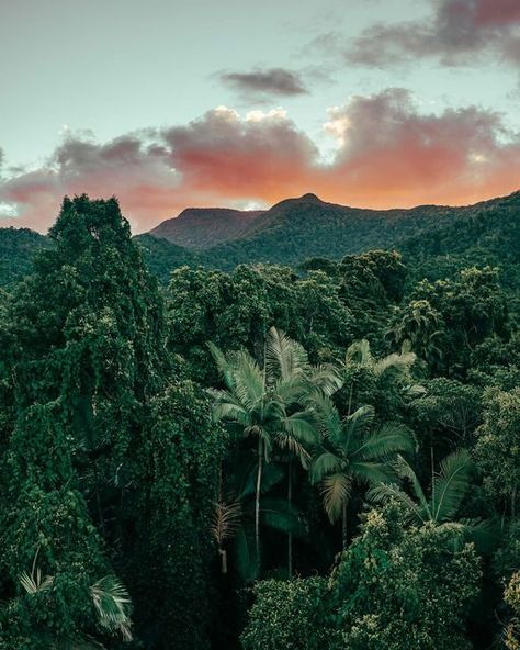 SALTY WiNGS on Instagram: "A Balmy sunset in the Kuku Yalanji (The Daintree)" Australia Landscape, Aerial Landscape, Daintree Rainforest, Beautiful Landscape Photography, Australian Photographers, White Portrait, Coastal Beaches, Queensland Australia, Classic Frame