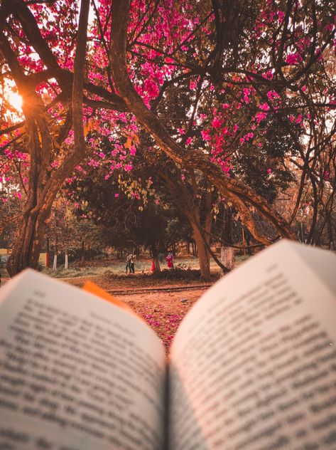 Spring Reading Aesthetic Wallpaper, Books Outdoors Aesthetic, Book Photography Outdoor, Book Spring Aesthetic, Reading Spring Aesthetic, Reading More Aesthetic, My Bookish Aesthetic, Outdoor Reading Aesthetic, Cute Book Pictures