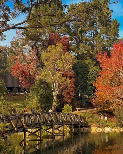 The countryside in autumn 🍂 🍂🍂🍂 #holiday #vacation #australia #sydney #melbourne #yarravalley #mindfulness #peace #peaceful #picturesque #photography #fashion #summer #autumn #autumnvibes🍁 #winter #travelling #travel #explore #exploreaustralia #simpleliving #vacationmode #exploremore #nature #winter #winterfashion #naturephotography #quietlife Autumn In Melbourne, Vacation Australia, Autumn Holiday, Nature Winter, Australia Sydney, Yarra Valley, Vacation Mode, Holiday Vacation, Photography Fashion