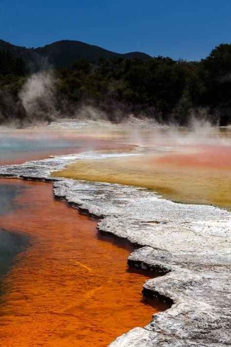 Rotorua New Zealand, Sacred Water, Rotorua, New Zealand Travel, Banff National Park, Travel Bucket List, Trip Planning, The Good Place, New Zealand