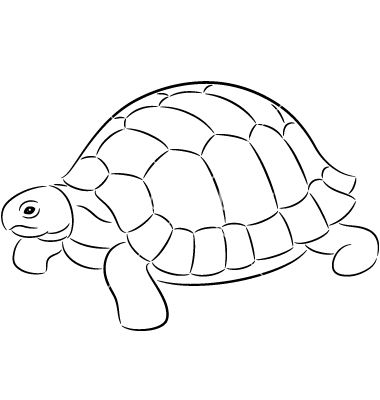 Tortoise on VectorStock Tortoise Mosaic Pattern, Tortoise Coloring Page, Tortoise Drawings, Cute Tortoise Drawing, Tortoise Art, Tortoise Drawing, Tortoise Tattoo, Turtle Coloring, Turtle Coloring Pages