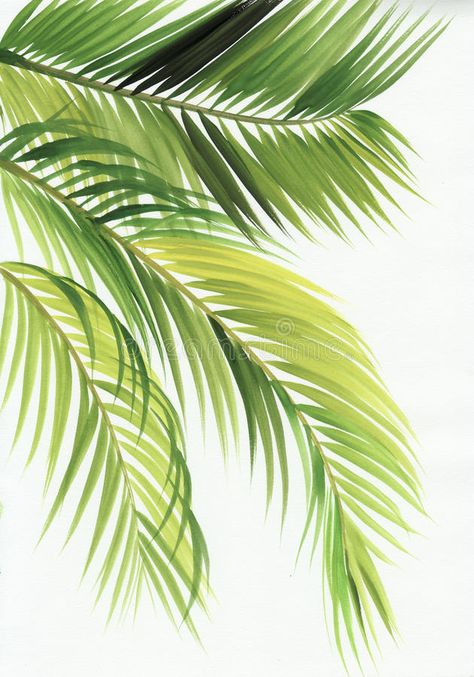 Banana Leaf Art, Palm Trees Painting, Leaves Illustration, Cherry Blossom Art, Leaf Drawing, Plant Painting, Tree Illustration, Tropical Art, Painted Leaves