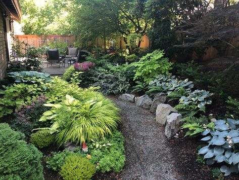 Seattle Backyard Landscaping, Seattle Landscaping Ideas, Pnw Shade Garden, Seattle Gardening Ideas, Pnw Landscaping Ideas, Seattle Landscaping, Pnw Landscaping, Mcm Garden, Pnw Landscape