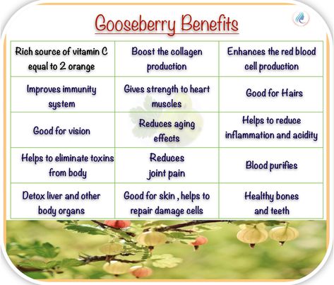 Gooseberry Benefits Health, Gooseberry Benefits, Muscle System, Cape Gooseberry, Juice Cleanse Recipes, Healthy Heart, Cleanse Recipes, Juice Cleanse, Healthier You