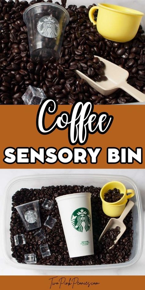 Text that says Coffee Sensory Bin above and below are images of a coffee sensory bin (a bin meant for kids with toy cups and scoops and coffee beans in it). Coconut Sensory Bin, Play Food Sensory Bin, Scooping Sensory Bin, Cute Sensory Bin Ideas, Call Sensory Bin, Coffee Shop Sensory Bin, Sensory Bins For Adults, Sensory Bins Special Education, Sped Sensory Bins