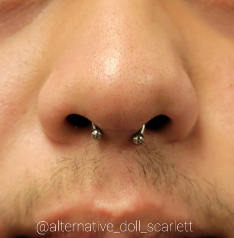 Septum piercing done with a titanium internally threaded circular barbell Septum Piercings, Circular Barbell, Septum Piercing, Septum Ring, Piercings, Nose Ring