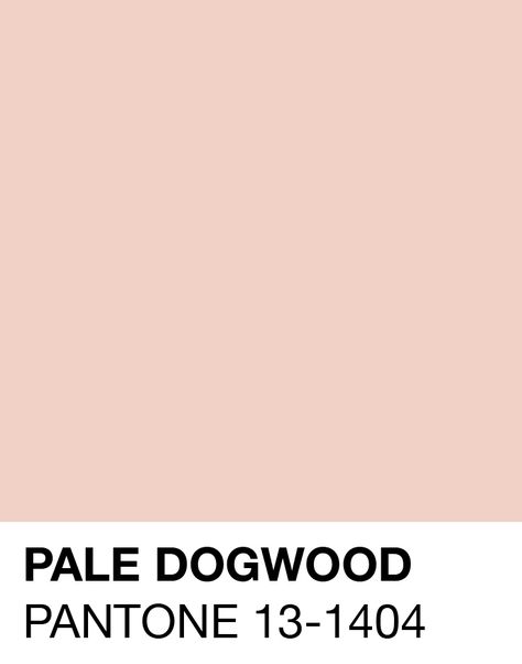 Pale Dogwood Pantone Spring/Summer S/S 2017 Pale Dogwood Pantone, Pale Dogwood, Pantone Swatches, Colour Pastel, Pantone Palette, Pantone Colour Palettes, Color Palette Challenge, Business Colors, Pantone Colors