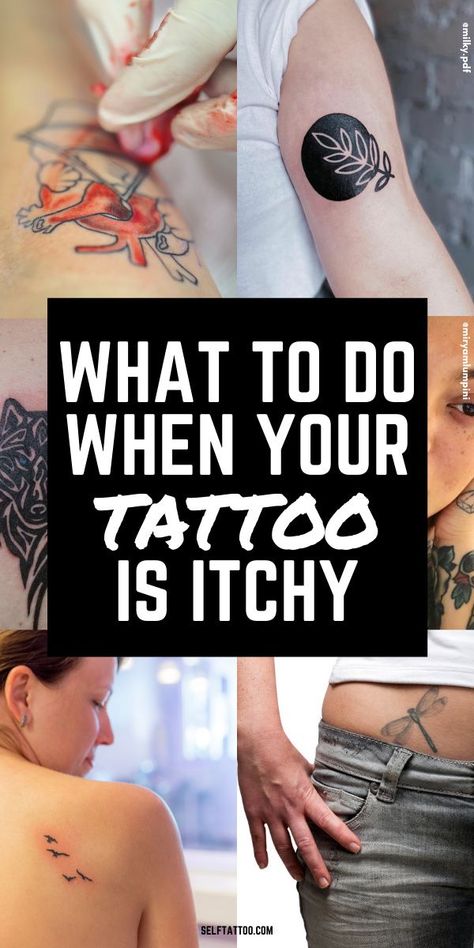 What To Do When Your Tattoo Is Itchy | Tattoo Aftercare Tips - Does your tattoo become raised and itchy? This can be very uncomfortable and worrying - it's best not to ignore this if it happens. Click here for a guide on what to do when your ink becomes itchy. Self Tattoo | Tattoo Aftercare Instructions | Tattoo Aftercare | Tattoos | Infected Tattoo | Itchy Tattoo | Itchy Tattoo Relief | Itchy Tattoo Remedies | Body Art | Tattoo Healing Process | Tattoo Healing | Tattoo Healing Stages Healing Process Tattoo, Tattoo Aftercare Instructions, Tattoo Healing Stages, Process Tattoo, Tattoo Aftercare Tips, Self Tattoo, Tattoo Healing Process, Infected Tattoo, Tattoo Healing