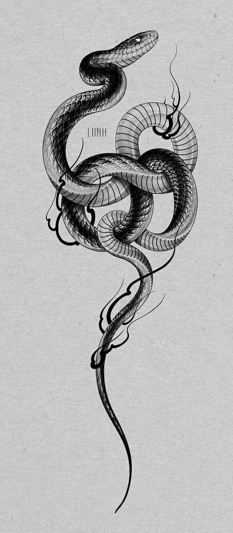 Tattoo Design Snake, Black Snake Tattoo, Snake Sketch, Tattoo Snake, American Traditional Tattoo Ideas, Traditional Tattoo Ideas, Serpent Tattoo, Snake Tattoo Design, Elbow Tattoos