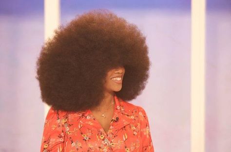 Aevin Dugas hold the Guinness World Record for largest afro. Huge Afro, Afro Hair Art, Tallest Man, Ordinary World, Big Afro, Guinness Book Of World Records, Afro Natural, Afro Men, Natural Afro Hairstyles