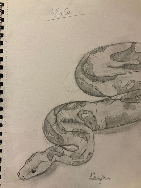 Snake Simple Drawing, Snake Drawing Sketches, Tattoo Design Book, Easy Art, Sketch Ideas, Sketchbook Art, Design Book, Art Drawings Sketches Simple, Sketchbook Art Inspiration