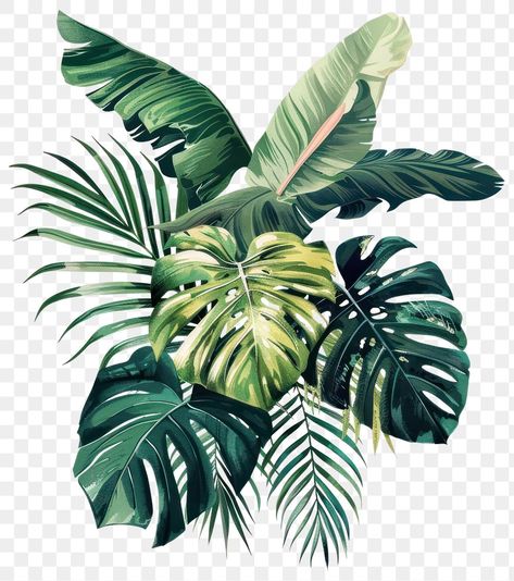 Leaves Botanical Illustration, Tropical Leaves Illustration, Plant Png, Leaves Vintage, Vintage Tropical, Tree Png, Watercolor Fruit, Vintage Tree, Tropical Leaves