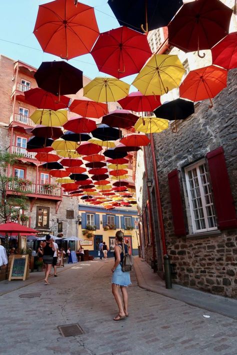 Umbrella Alley, Old Quebec City, Beautiful Umbrella, Umbrella Street, Canadian Road Trip, Quebec City Canada, Street Pictures, Canada Map, Traveling Teacher