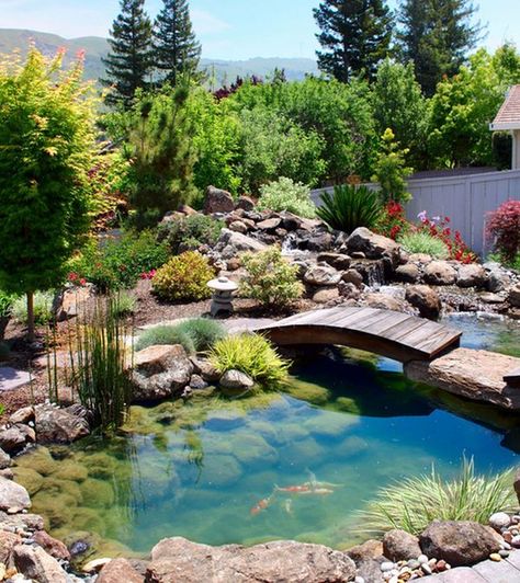 Natural Inspiration: Koi Pond Design Ideas For A Rich And Tranquil Home Landscape! Japanese Gardens Design Ideas, Kolam Air, Kolam Koi, Fish Pond Gardens, Taman Air, Small Japanese Garden, Garden Pond Design, Air Mancur, Beautiful Home Gardens