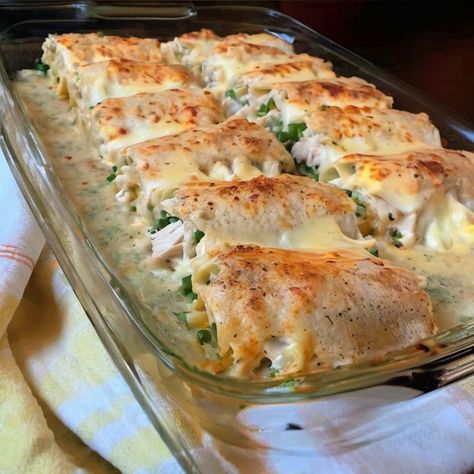 Delightful Chicken Alfredo Lasagna Rolls Recipe Chicken Alfredo Lasagna Rolls Recipes, Chicken Alfredo Rollups Lasagna Rolls, Chicken Lasagne Recipes, Chicken Alfredo Lasagna Rolls, Alfredo Lasagna Rolls, Chicken Lasagna Roll Ups, Chicken Alfredo Lasagna Roll Ups, Lasagna Rolls Recipe, Chicken Lasagna Rolls