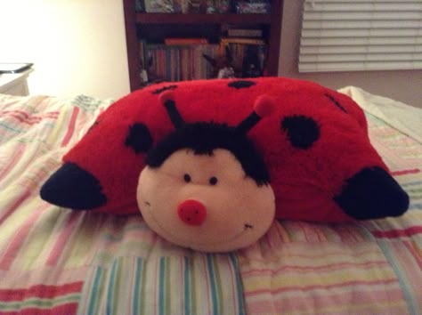 Pillow Pets Aesthetic, Pillow Pet Aesthetic, Childhood Plushies, Ladybug Pillow Pet, Childhood Core, Nostalgia 2000s, Pillow Pets, 2010s Nostalgia, Nostalgic Pictures