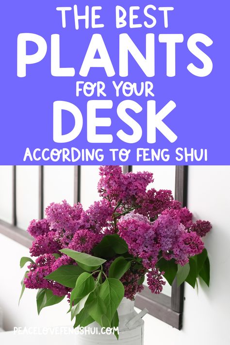 Feng Shui Bedroom Plants, Feng Shui Office Decor, Calm Office Space Ideas, Feng Shui Work Desk, Plants In Office Space, Feng Shui Cubicle, Feng Shui Desk Placement, Office Plants Ideas Interior Design, Best Plants For Office