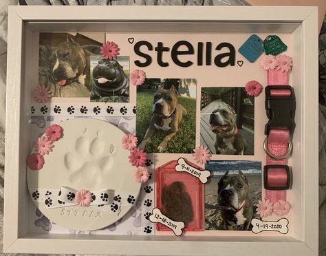 Pet Photo Album Ideas, Cat Shadow Box Ideas, Pet Memorial Keepsake, Memory Shadow Box Ideas Diy, Memorial Dog Ideas, Ways To Remember Your Dog, Pet Fur Keepsake, Pet Collage Ideas, Shadow Box For Dog Pet Memorials