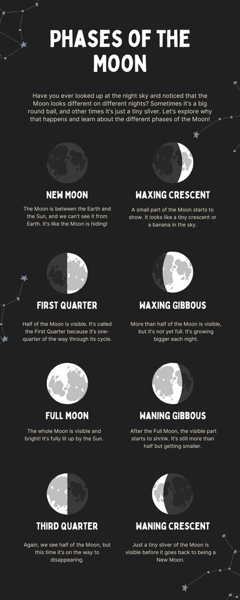 Moon shapes #moon#learningaboutspace Types Of Moons, Moon Phases For Kids, Moon Phases Science, Moon Phases Meaning, Moon Glyphs, Moon Lessons, Moon Phase Chart, Solar System Facts, Moon Science