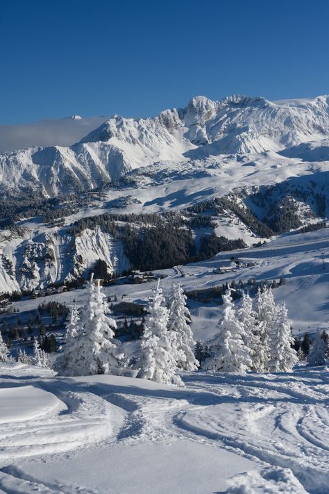 Courchevel Ski, Courchevel 1850, Family Park, Palette Ideas, Au Pair, Ski Season, How To Make Snow, Ski Area, Ski Trip