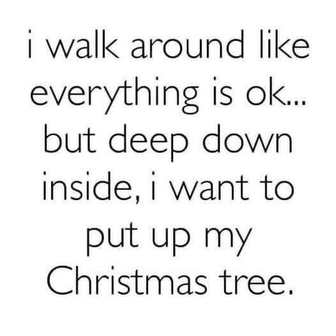 Christmas Memes, Christmas Time Is Here, Holiday Humor, Merry Little Christmas, Christmas Love, Christmas Quotes, Christmas Joy, Christmas Inspiration, Up Girl