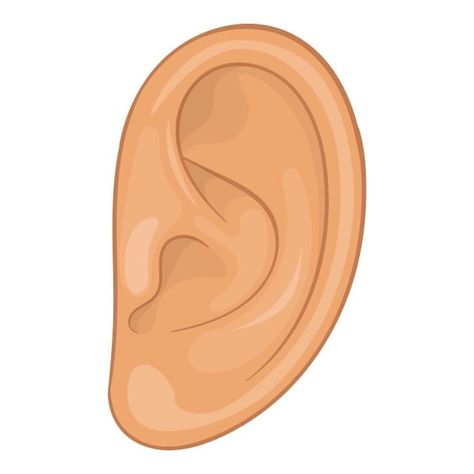 style icons,cartoon icons,ear icons,ear,icon,cartoon,vector,illustration,style,web,design,isolated,white,background,realistic,deaf,health,aid,sound,people,body,part,sense,human,hear,shape,healthy,sensory,music,loss,skin,closeup,concha,dedicine,auricle,silence,biology,darwin,person,audible,test,fragment,sign,deafness,art,head,audio,care,organ,hospital,helix,stereo,people vector,music vector,cartoon vector,human vector,person vector,head vector,web vector,sign vector,health vector Human Ear Diagram, Ear Clipart, Ear Illustration, Ears Illustration, Udl Lesson Plans, Ear Diagram, Ear Images, Head Cartoon, Multiplication Word Problems