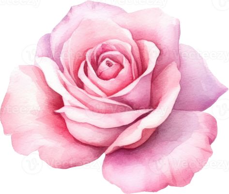 Pink Rose Flower Watercolor. AI Generated Pink Rose Watercolor Painting, Pink Rose Icon, Flower Pic, Patterns Printable, Pink Rose Flower, Flower Watercolor, Rose Icon, Gcse Art, Backgrounds Phone Wallpapers