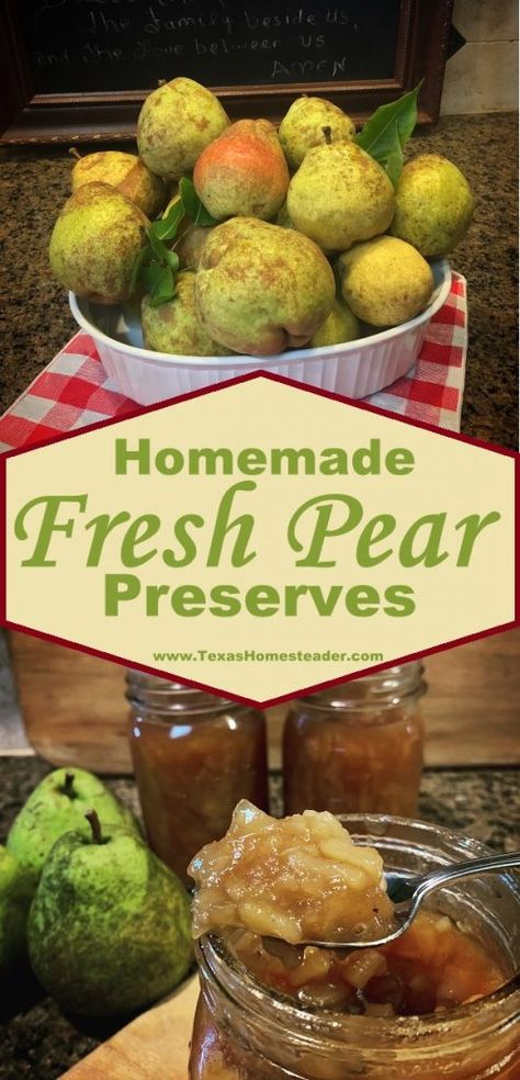 Homemade Pear Preserves, Recipe For Pear Preserves, How To Preserve Fresh Pears, How To Make Pear Preserves, Cooking Pears Recipes, Preserving Pears Ideas, Pear Preserves Recipe Canning, Pear Sauce Recipe Canning, Pear Perserves Recipes Canning 101