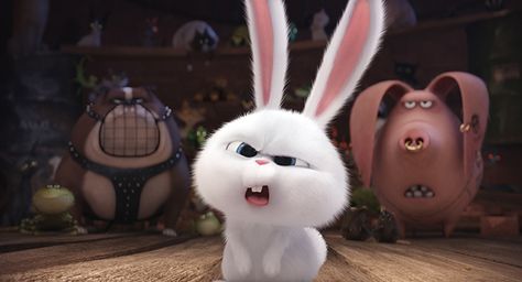 The Secret Life of Pets 6 Snowball Rabbit, Wallpaper Roxo, Pets Wallpaper, Rabbit Wallpaper, Bunny Cartoon, Cut Animals, Cute Bunny Cartoon, Bunny Wallpaper, Secret Life Of Pets