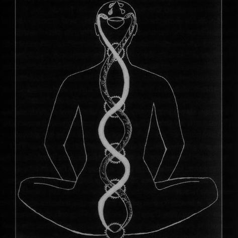 All Posts • Instagram Consciousness Tattoo, Kundalini Tattoo, Caduceus Tattoo, Protection Tattoo, Cobra Tattoo, Tattoo Diy, Serpent Tattoo, Kundalini Awakening, Cosmic Consciousness