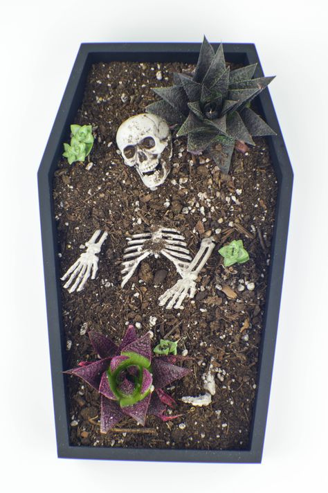 Halloween DIY Coffin Table Planter - Revamperate Coffin Table, Diy Coffin, Halloween Garden Decorations, Halloween Decor Diy, Hallowen Ideas, Casa Halloween, Halloween Cans, Skirt Inspiration, Diy Halloween Decor