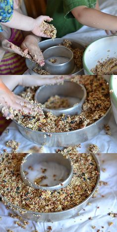 bird seed wreaths!! Looks so fun! And site has many other ideas! I would love to do this with my kids one year! Fun! /search/?q=%23homemadebirdfeeder&rs=hashtag /search/?q=%23birdfood&rs=hashtag Seed Ornaments, Bird Seed Ornaments, Bird Seed Feeders, Make Your Own Wreath, Homemade Bird Feeders, Bird Treats, Diy Bird Feeder, Outdoor Crafts, Diy Birds