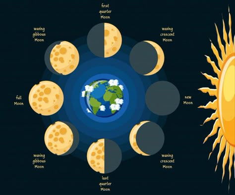 Basic moon phases diagram Premium Vector | Premium Vector #Freepik #vector #background #calendar #children #education Science Exhibition Ideas, Moon Phrases, Moon Projects, Chemistry Notes, 5th Grade Science, Lunar Phase, Moon Drawing, 1st Grade Worksheets, Magazines For Kids