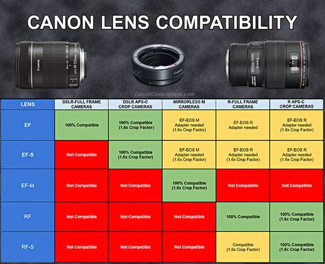 Canon Lens Guide, Photography Terminology, Canon Camera Settings, Canon 2000d, Camera Lenses Explained, Canon 90d, Best Canon Lenses, Cannon Camera, Camera Lenses Canon