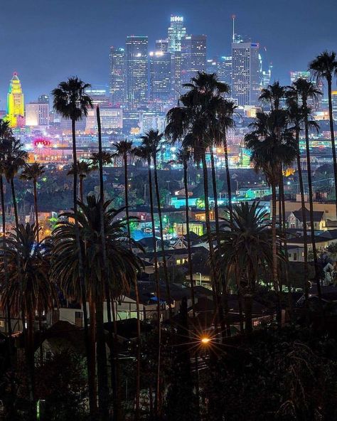 City lights and palm trees  Downtown LA at night! - :@killakristennn La At Night, Los Angeles California Photography, Los Angeles At Night, Los Angeles Wallpaper, Palm Tree Photography, Los Angeles Aesthetic, Tall Buildings, Los Angles, Los Angeles City