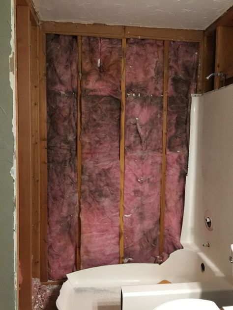 Diy Tile Tub Shower Combo, Removing Shower Insert, Replacing Shower Insert With Tile, Bathroom Shower Update, Remove Bathtub Remodel, Removing Bathtub Remodel, Old Tub Shower Makeover, How To Install A Shower Stall Walk In, Walk In Shower Renovation