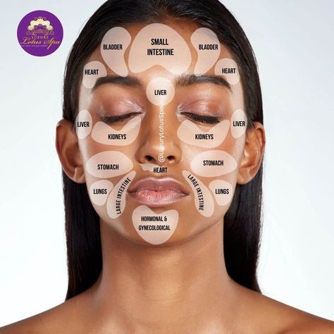 Face Breakout Chart, Face Pimple Chart, Acne Mapping Face, Face Acne Chart, Acne Placement Meaning, Acne Map, Acne On Cheeks, Acne Chart, Acne Face Map