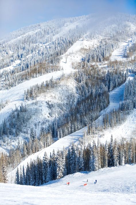 Steamboat Springs: A Complete Guide to a Beloved Western Ski Town | Condé Nast Traveler Vail Ski Resort, Breckenridge Ski Resort, Vail Skiing, Vail Village, Steamboat Springs Colorado, Best Ski Resorts, Ski Town, Ski Lodge, Steamboat Springs