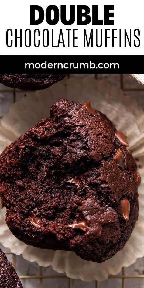 chocolate muffins. Double Chocolate Chip Muffin Recipe, Dark Chocolate Muffins, Healthy Chocolate Fudge, Healthy Chocolate Muffins, Double Chocolate Chip Muffins, Chocolate Chip Muffin Recipe, Chocolate Muffin Recipe, Chocolate Muffin, Double Chocolate Muffins