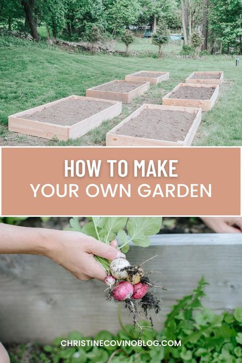 Get started with your first garden thanks to this how to guide that walks you through how to set up your own gardening and get started gardening for beginners. It offers everything you need to know in order to become a master gardener in no time! How To Garden For Beginners, 2024 Activities, Beginners Garden, First Garden, Beginner Gardening, Flower Truck, Gardening 101, Design Basics, Starting A Garden