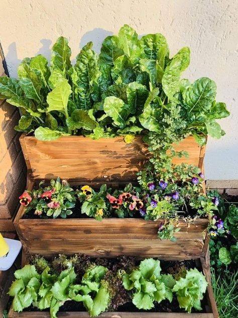 Balcony Garden Stand, Balcony Small Garden, Plants In Small Balcony, Balcony Growing Vegetables, Garden Box On Deck, Small Balcony Ideas Garden, Best Flowers For Containers, Balcony Gardening Vegetable, Garden Balcony Ideas Small Spaces