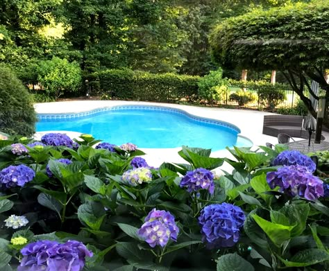 swimming pool landscaping Natural Pool Landscape Design, Tropical Desert Pool Landscaping, Area Around Pool Ideas, Pool Landscaping Hillside, Backyards With Pools Ideas Landscapes, Landscape Ideas Around Pool Area, Flower Garden Around Pool, Landscape Around Pool Equipment, Pool Side Landscaping Ideas Backyard