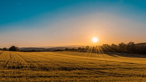 Farm Life in the Philippines – What is It Like? (Part 2) https://momtraneur.com/2018/05/16/farm-life-in-the-philippines-what-is-it-like-part-2/ Farm Pictures, Sunrise Pictures, Photos Hd, How To Buy Land, Pranayama, Muhammad Ali, Cool Countries, Download Free Images, Summer Pictures