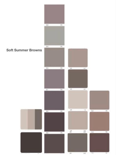 Brown For Soft Summer, Soft Summer Color Palette Brown, Soft Summer Fall Colors, True Summer Browns, Muted Cool Color Outfits, Dusk Summer Palette, Cool Summer Browns, Soft Summer Academia, Soft Summer Browns