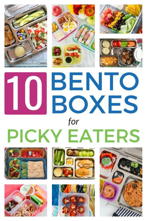 Do you have a Picky eater too? I found a bunch of bento box lunchbox ideas that even the pickiest eater will love! Picky Eater Lunch, Bento Box Ideas, Bento Box Lunches, Recipes For Picky Eaters, Bento Box Lunch For Kids, Bento Box Recipes, Box Lunches, Lunch Box Ideas, Picky Eaters Kids