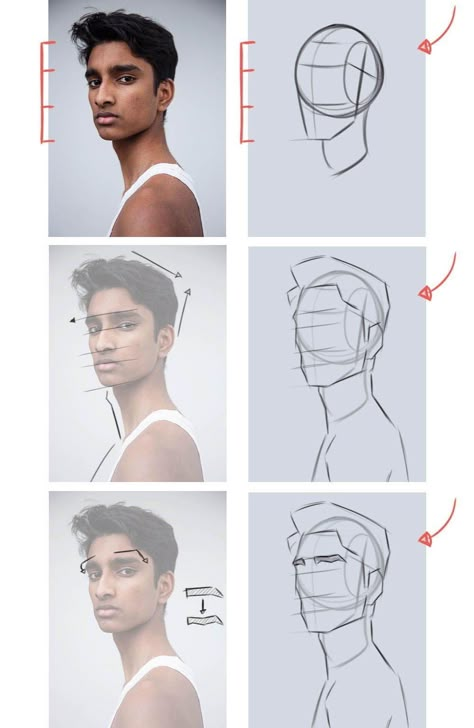 Drawing Portraits Tutorial, Anatomy Portrait, Draw Portrait, Face Proportions, Head Anatomy, Drawing Ideas Human, Human Body Drawing, Portrait Tutorial, 얼굴 드로잉