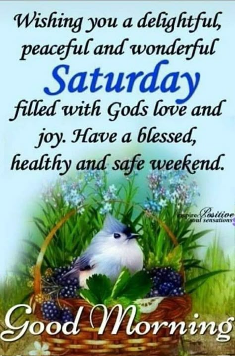 Good Morning Saturday Wishes, Good Morning Happy Weekend, Happy Saturday Quotes, Saturday Morning Quotes, Happy Saturday Morning, Saturday Greetings, Good Morning Happy Saturday, Saturday Quotes, Good Morning Saturday